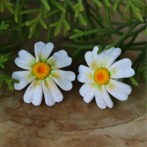 White Daisy Flower Ear Studs